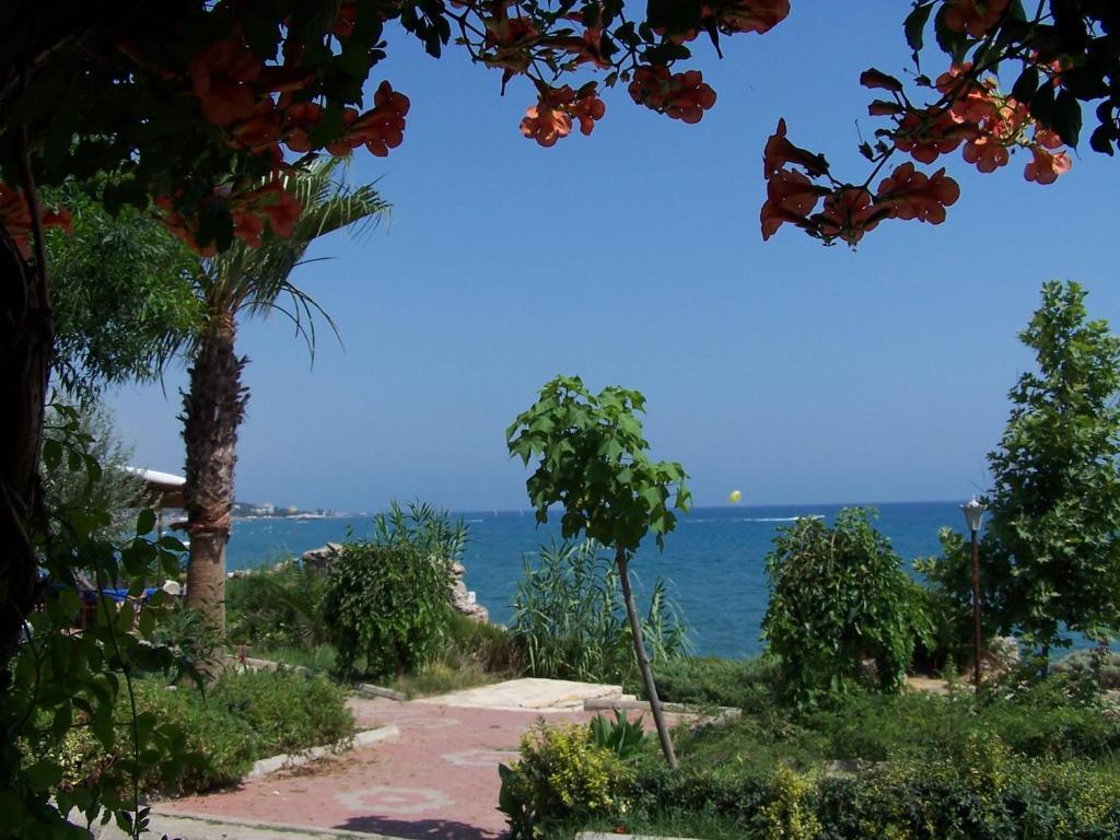 Guven Hotel Alanya Exterior foto